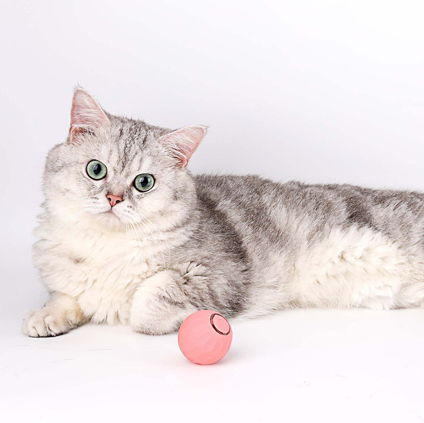 Pelota Interactiva Saltarina para gatos