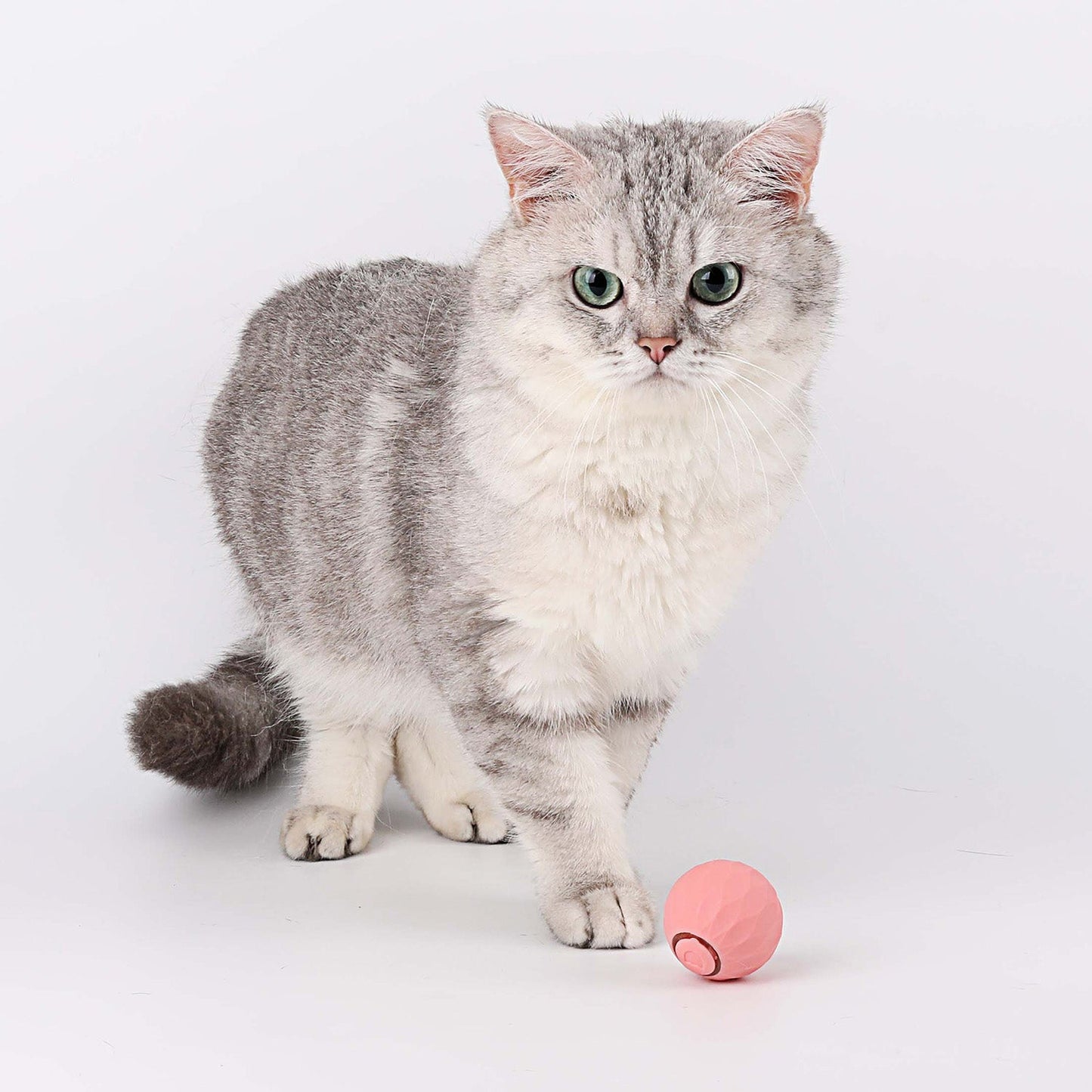 Pelota Interactiva Saltarina para gatos