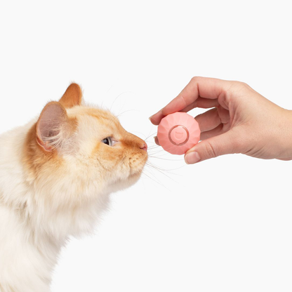 Pelota Interactiva Saltarina para gatos